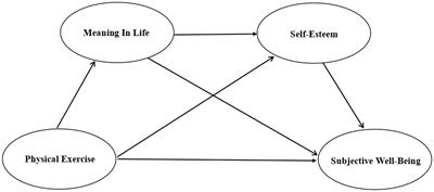 The relationship between physical exercise and subjective well-being in Chinese older people: The mediating role of the sense of meaning in life and self-esteem
